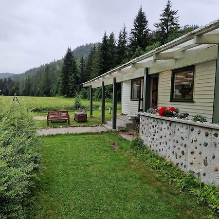 River Run Ranch - Telemark Drangedal Eksteriør bilde