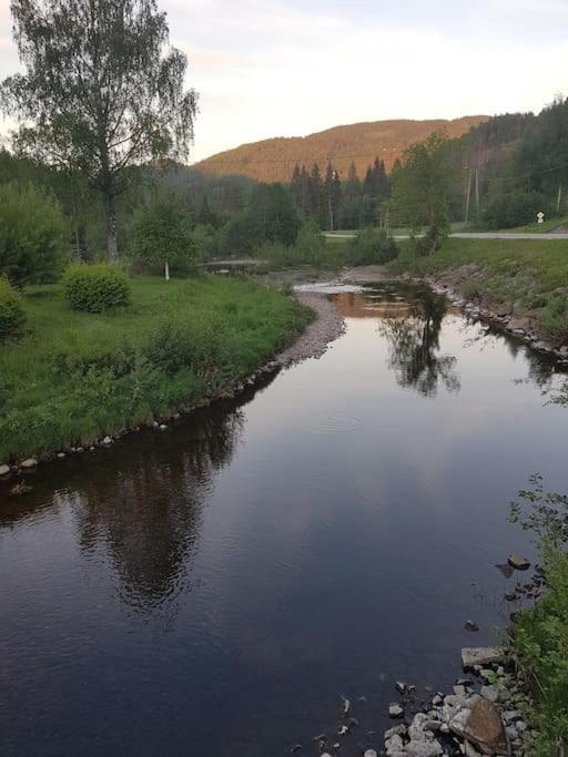 River Run Ranch - Telemark Drangedal Eksteriør bilde