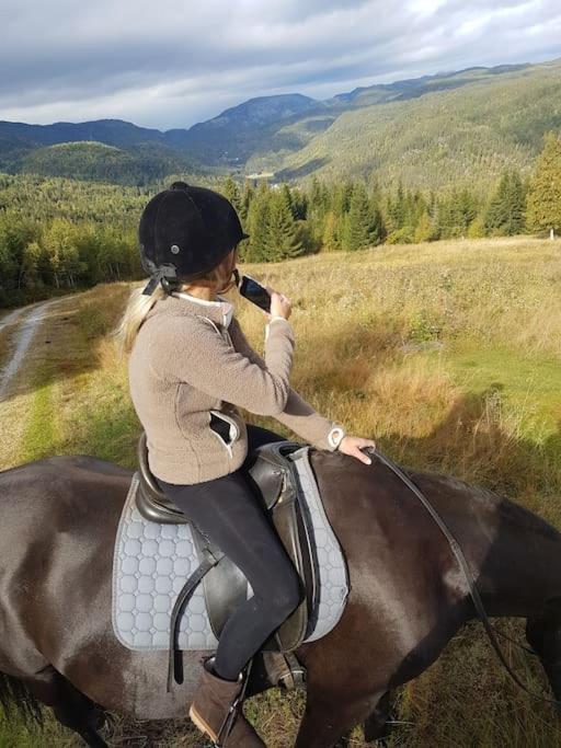 River Run Ranch - Telemark Drangedal Eksteriør bilde