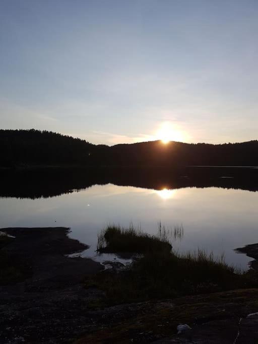 River Run Ranch - Telemark Drangedal Eksteriør bilde