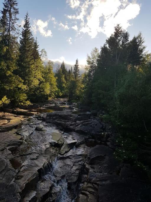 River Run Ranch - Telemark Drangedal Eksteriør bilde