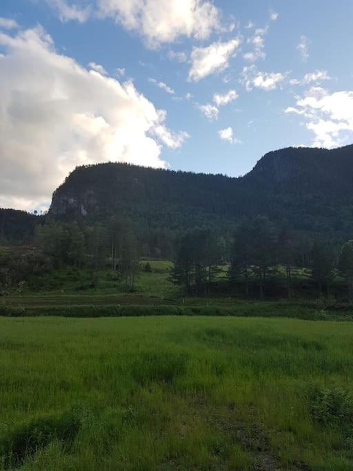 River Run Ranch - Telemark Drangedal Eksteriør bilde