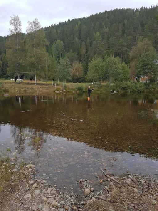 River Run Ranch - Telemark Drangedal Eksteriør bilde