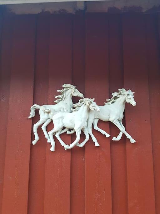 River Run Ranch - Telemark Drangedal Eksteriør bilde