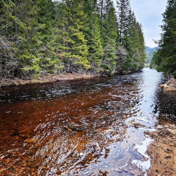 River Run Ranch - Telemark Drangedal Eksteriør bilde