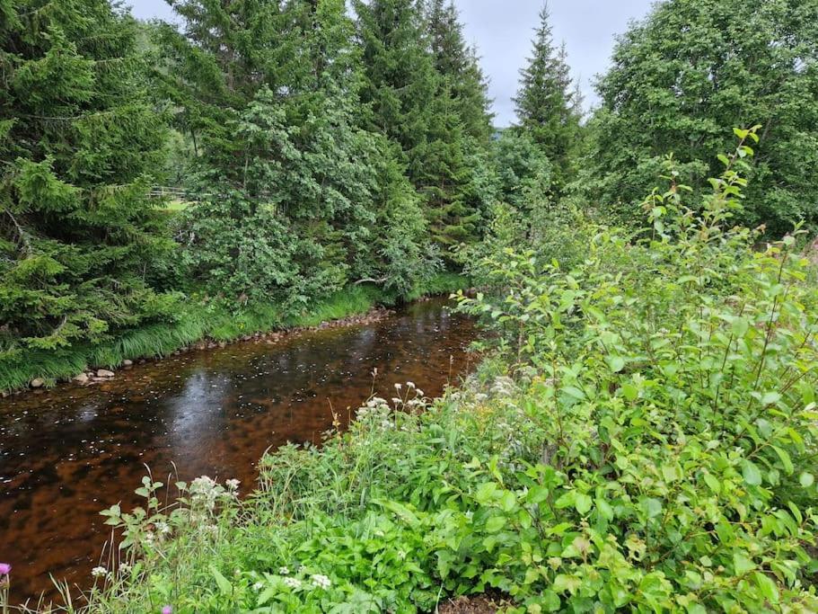 River Run Ranch - Telemark Drangedal Eksteriør bilde
