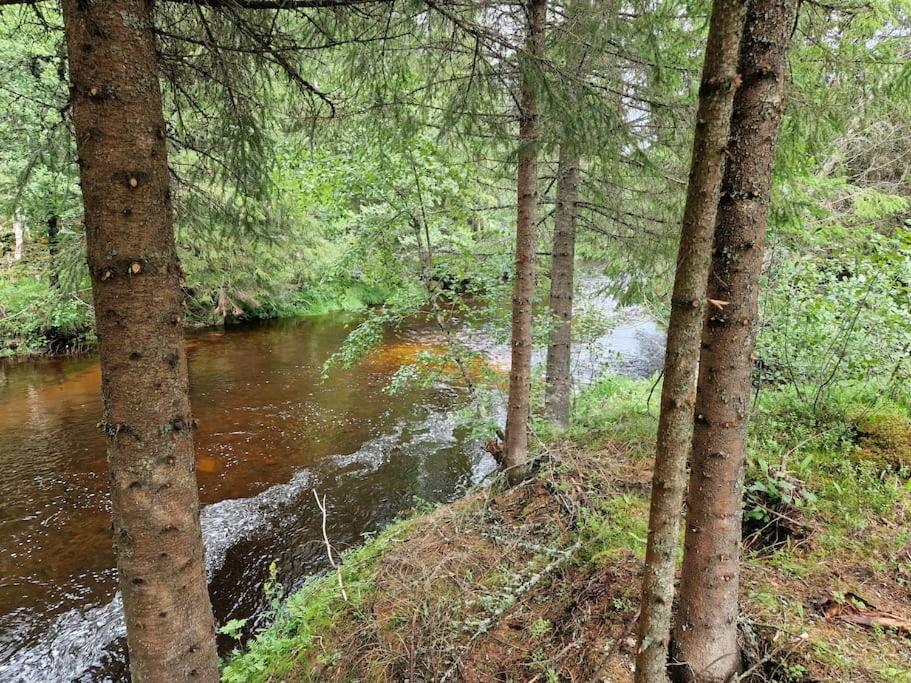 River Run Ranch - Telemark Drangedal Eksteriør bilde