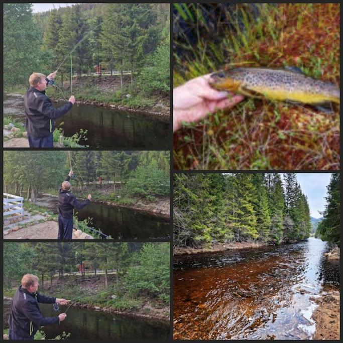 River Run Ranch - Telemark Drangedal Eksteriør bilde